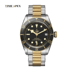 Tudor Black Bay S&G #1835045